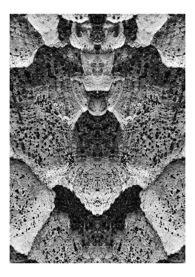 Yakamoza - Black and white close-up abstract photography of tree bark, put in vertical symmetry